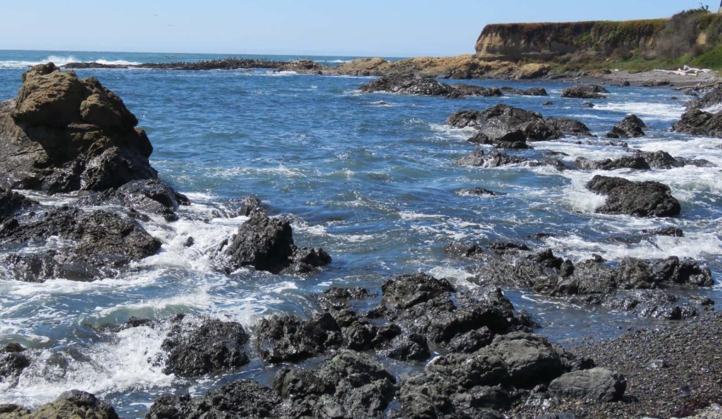 Madrone Realty Southern Humboldt County Real Estate (707) 9232119