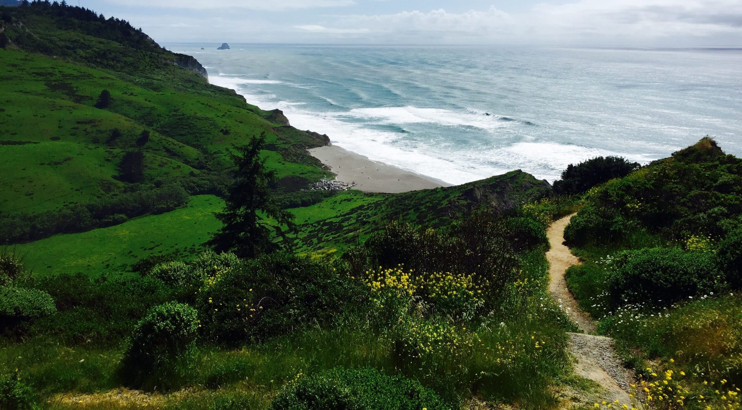 lost coast view