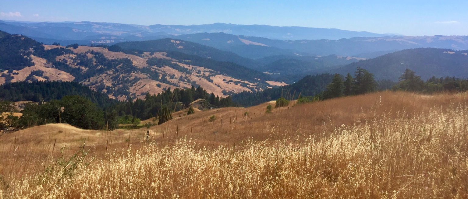 Madrone Realty Humboldt County Real Estate (707) 9232119