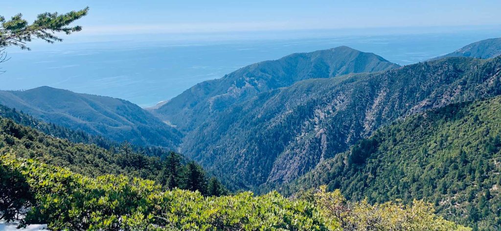 Lost coast view