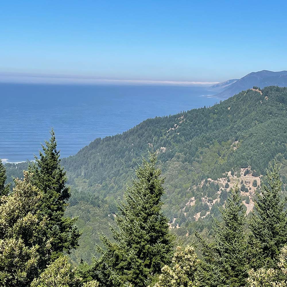 view of the king range mountains with ocean in the distance on the lost coast