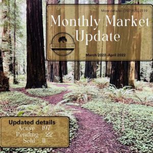 march 2023 monthly market update graphic of a trail through redwood forest