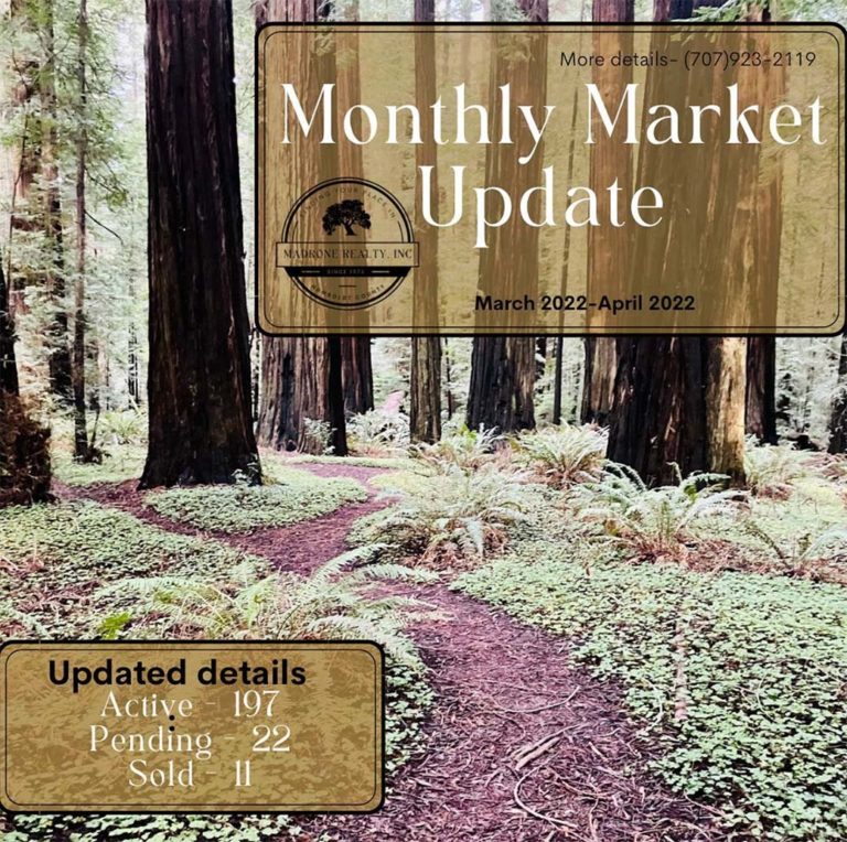 march 2023 monthly market update graphic of a trail through redwood forest