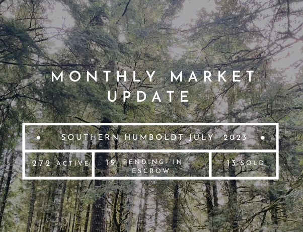 monthly market update for july 2023