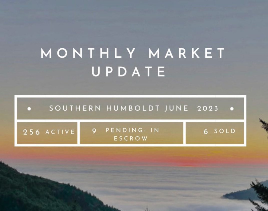 monthly market update for june 2023
