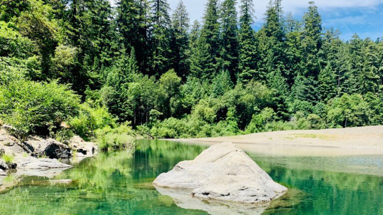 Eel river, one of Humboldt's best swim spots